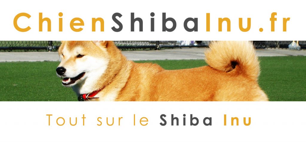 chienshibainu.fr