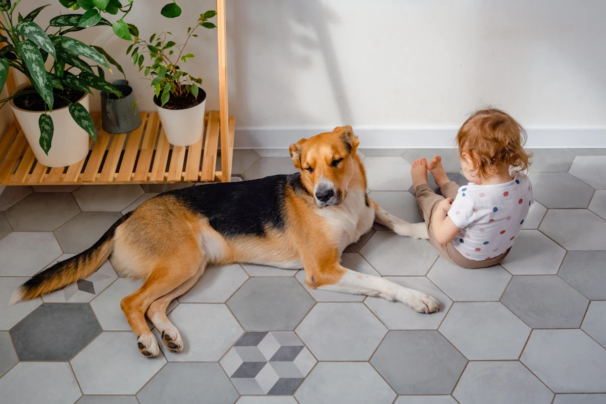 Voici comment garder un carrelage impeccable quand on vit avec des animaux