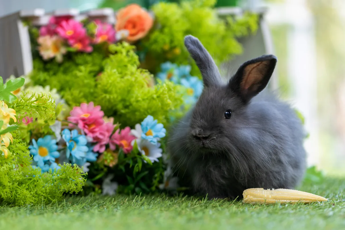 Un lapin dans un jardin fleuri