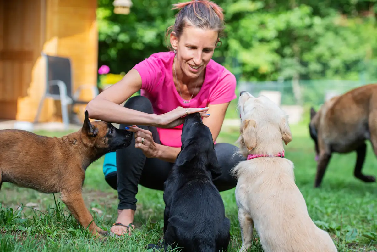 Une femme qui s'amuse avec 3 chiens