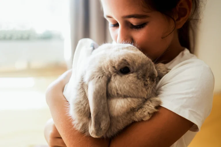 Une fille qui tient un lapin dans ses bras
