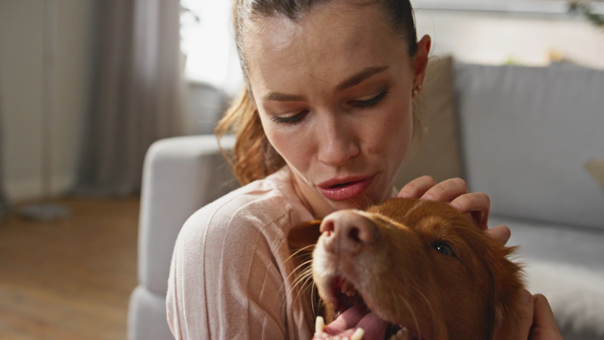 Une femme qui caresse un chien