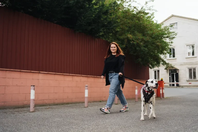 Une jeune fille qui se promène avec son chien dehors
